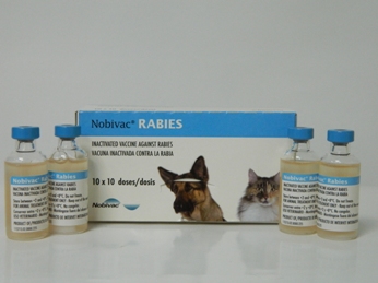 Nobivac Rabies - MSD Animal Health România